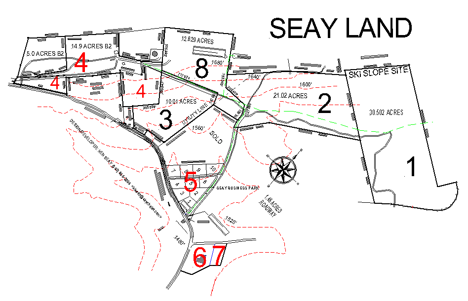 Surveyor's Plat of the Parcels for Sale